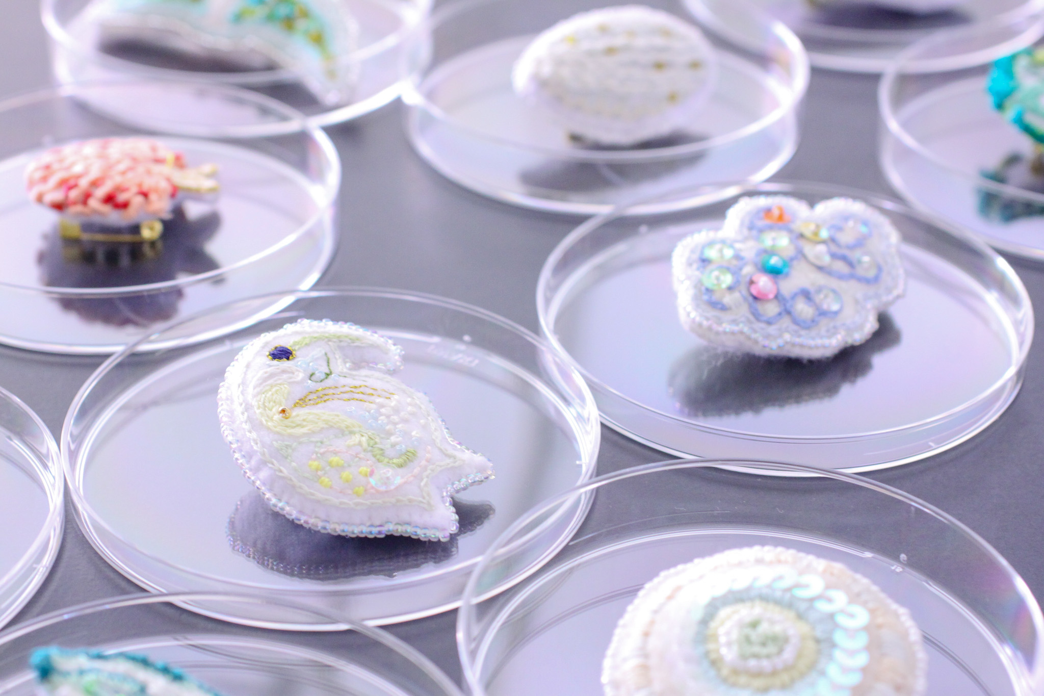 微生物をちょっと大きく作る