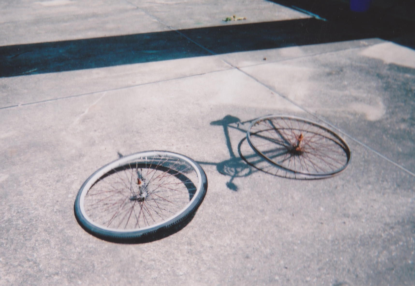 そこにあったかもしれない　影　